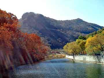 澳门二四六天天彩图库，仿真花批发价